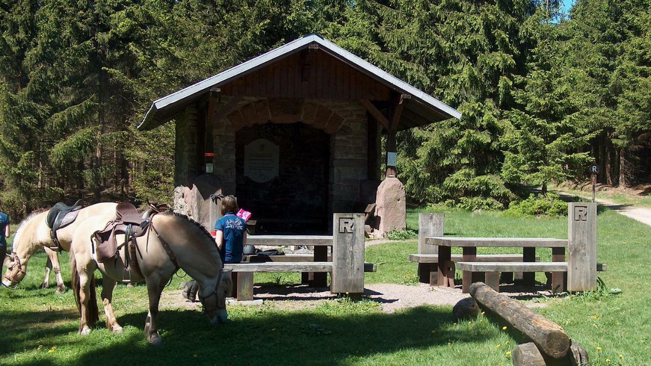 Ferienwohnung Trollmann Schmalkalden Exteriör bild